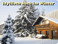 Ferienhaus Panoramablick - Piesau - auch im Winter wunderschön