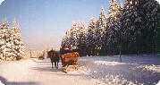 Pferdeschlitten im Winter in Piesau